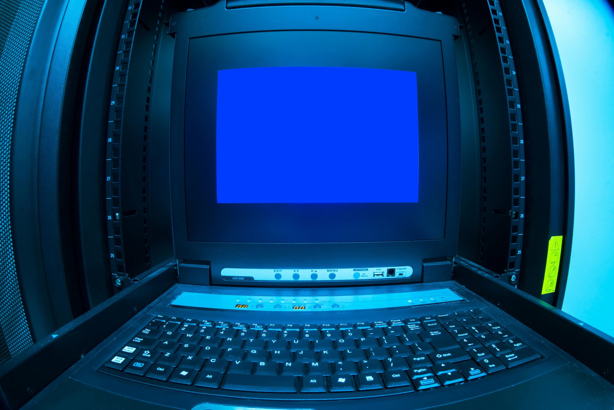 Domain Name Monitoring