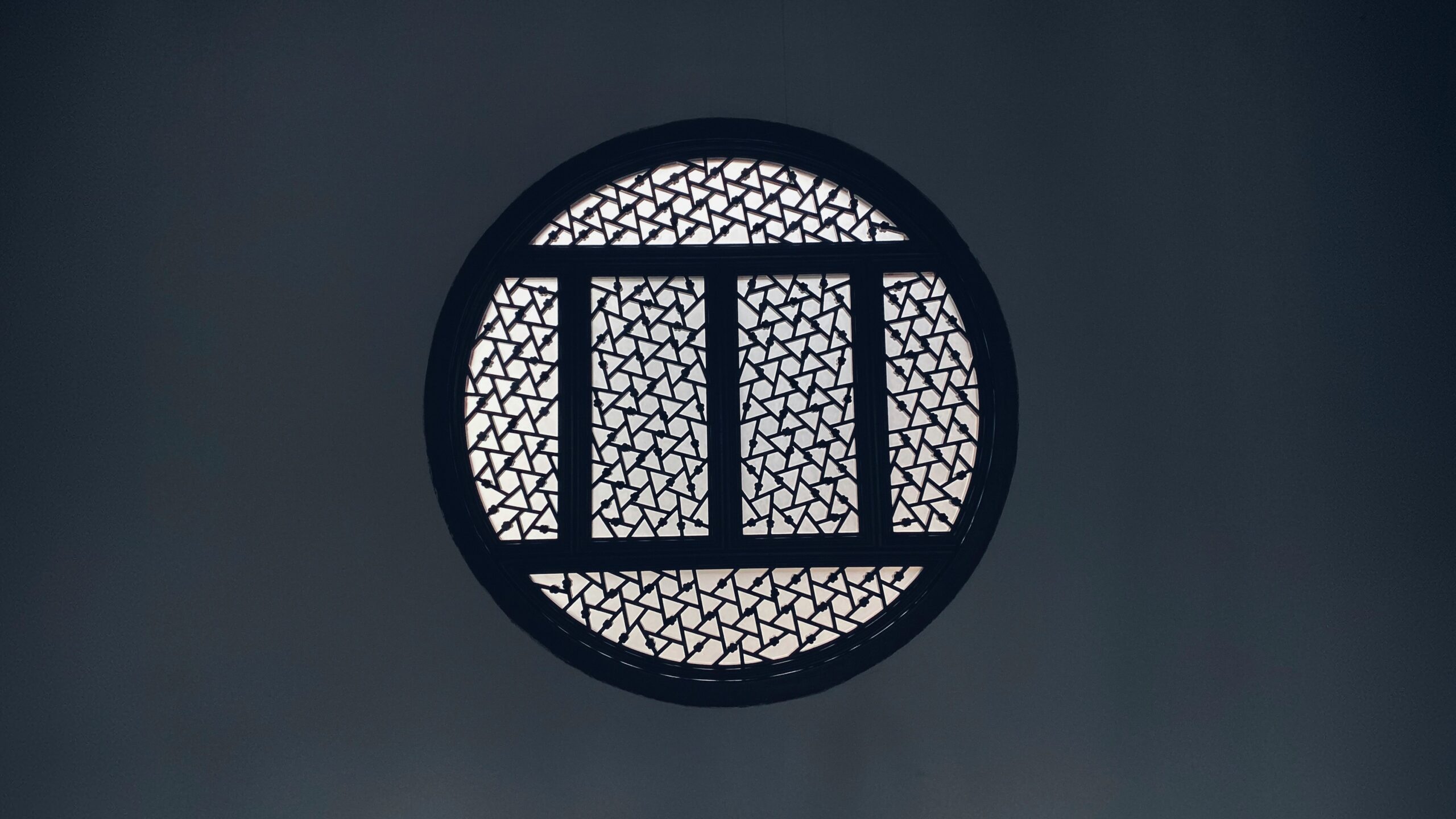 Shield icon representing protection concept