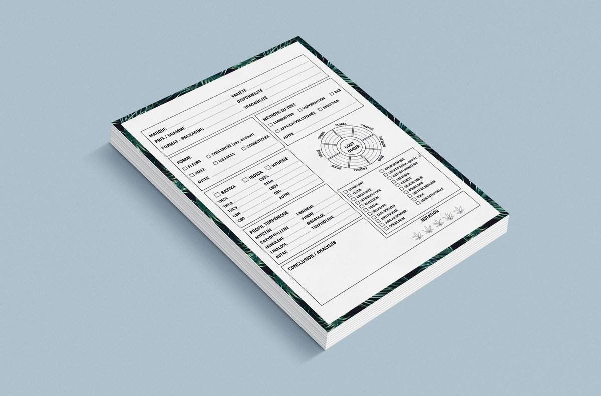 Why Your Patent Monitoring Risks Coverage Might Be Leaving You Exposed (And What to Do About It)